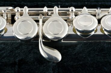 Flute Macro In A Case